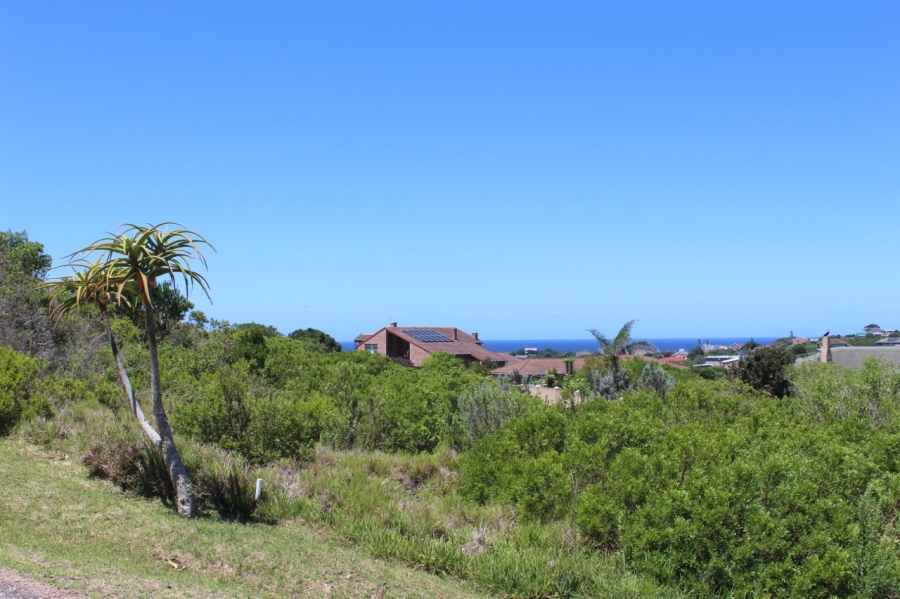 0 Bedroom Property for Sale in Forest Downs Eastern Cape
